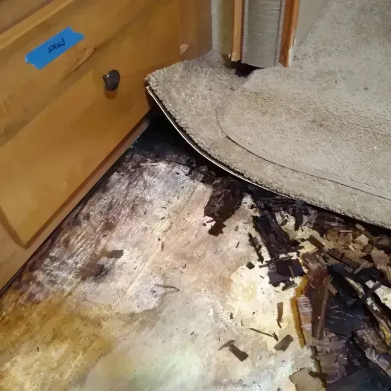 Best Wood Floor Water Damage Service in Hallam, PA